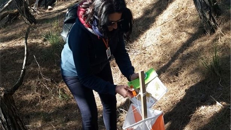 Aγώνας Orienteering στις Σέρρες.  Παιχνίδια Προσανατολισμού ..έξω...