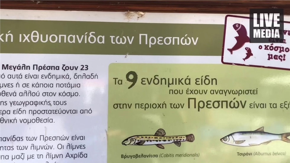 Στίς Πρέσπες των Βορείων συνόρων μας!   https://youtu.be/nyObP_JLEFI...