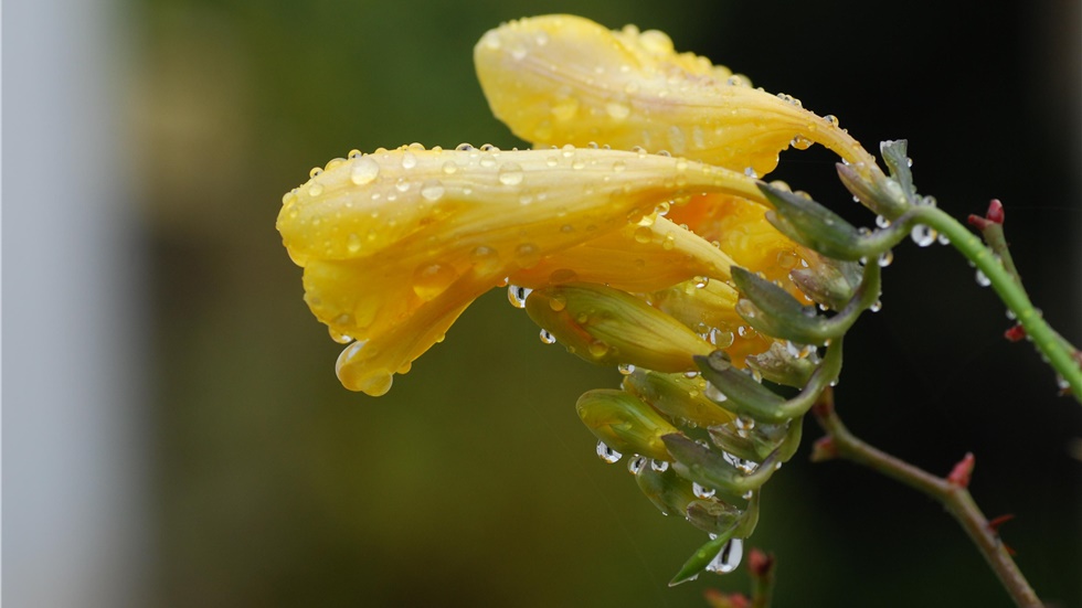 Φωτεινή Στεφανίδη: «Δεν θα πούμε για τον Απρίλη»