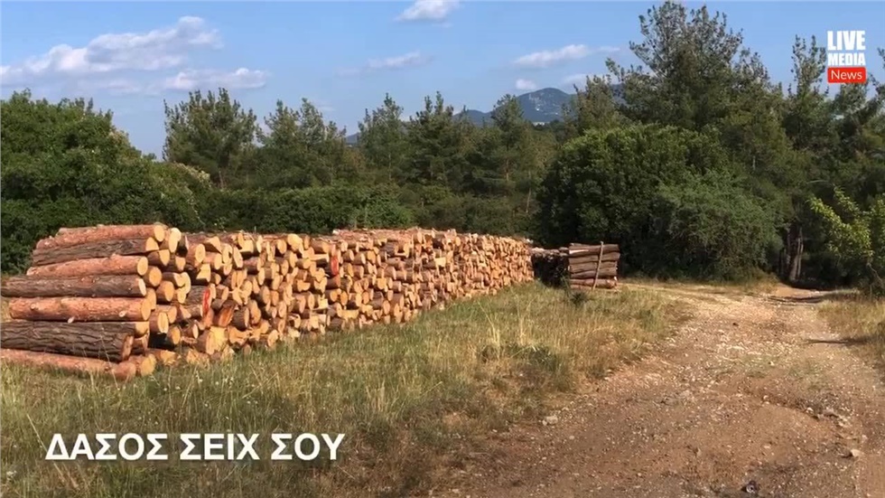 Ας κρατήσουμε το Σέιχ Σου ..ζωντανό. Το δάσος είναι πηγή ζωής!...