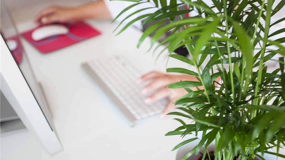 ΗΠΑ: Το 80% των επιχειρήσεων θα συνεχίσει τουλάχιστον εν μέρει...