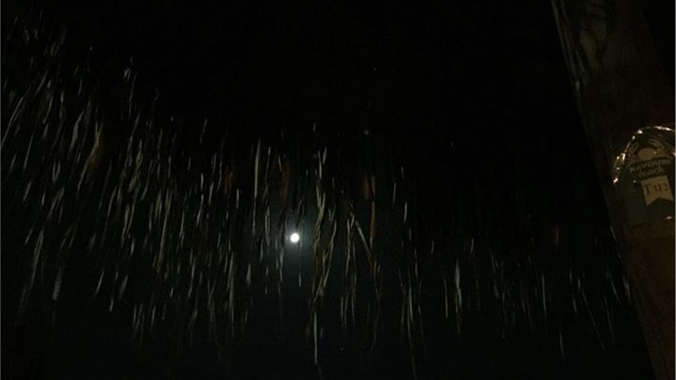 Η παράδοξη ισότητα στις εκβολές.  Του ΑΛΕΞΑΝΔΡΟΥ ΑΡΔΑΒΑΝΗ  Ιατρού...