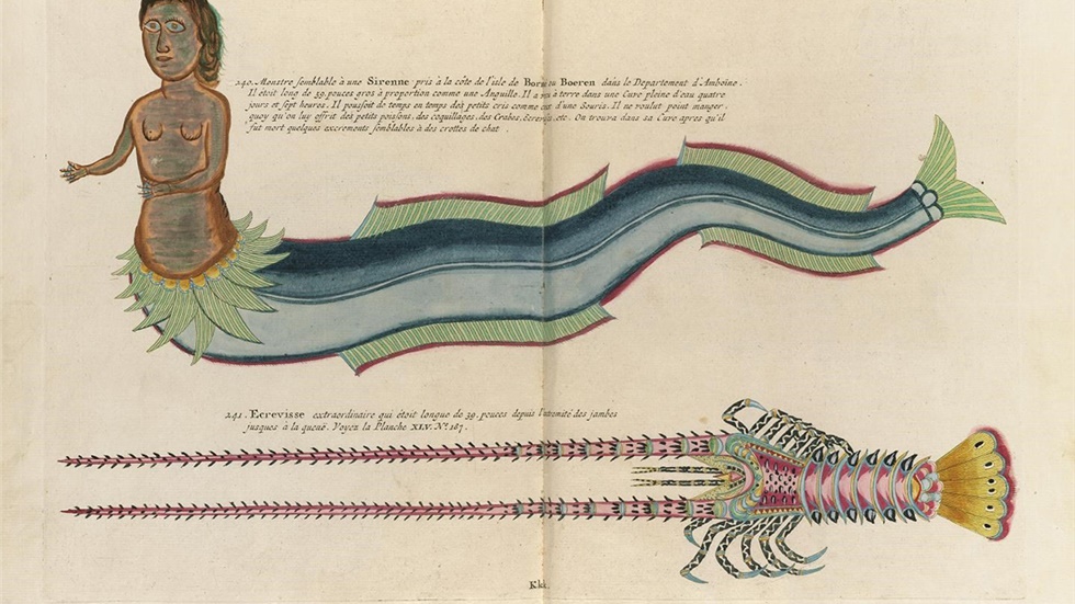 Διαθέσιμες διαδικτυακά, οι πρώτες (18ος αιώνας) έγχρωμες απεικονίσεις...