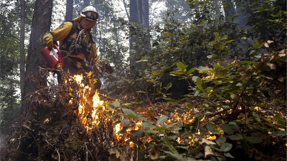 Πρόοδο σημειώνουν οι πυροσβέστες που αγωνίζονται να θέσουν υπό...