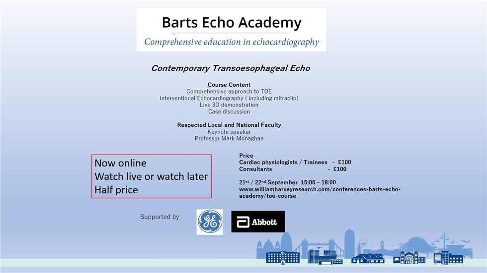 Contemporary Transoesophageal Echo in the era of routine 3D ...