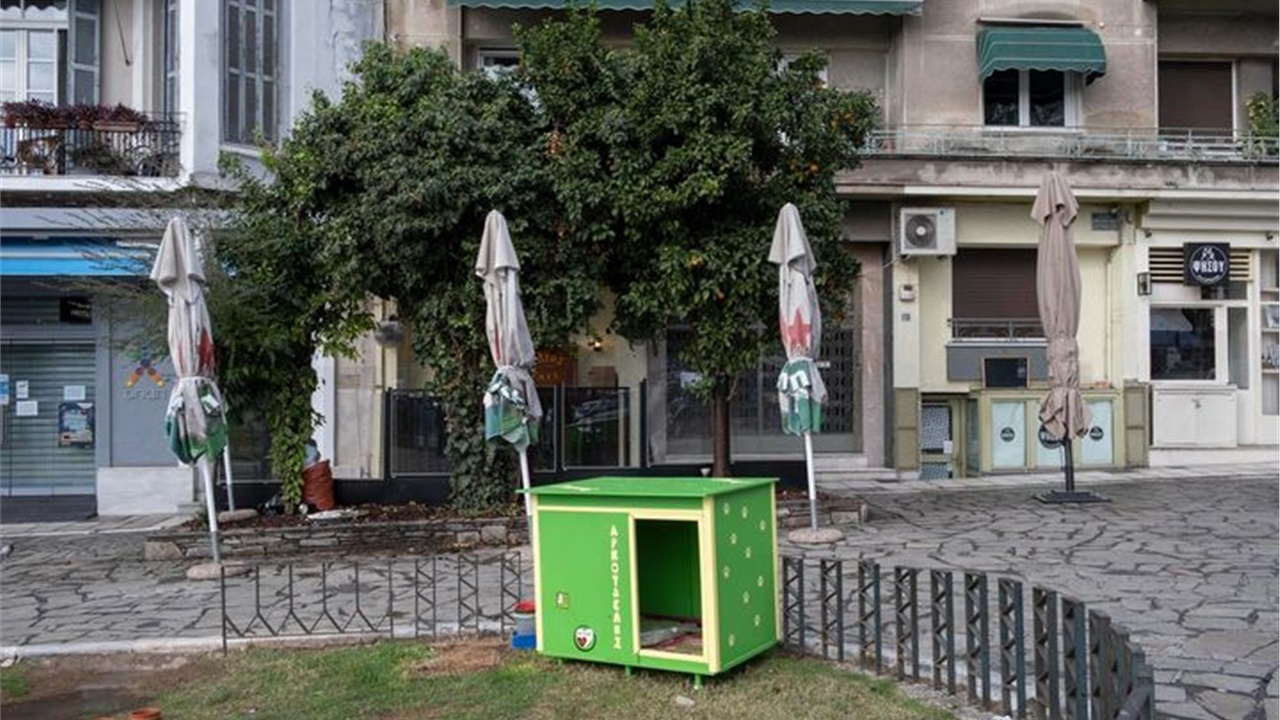 Θεσσαλονίκη: Σπίτι για τον αδέσποτο σκύλο 