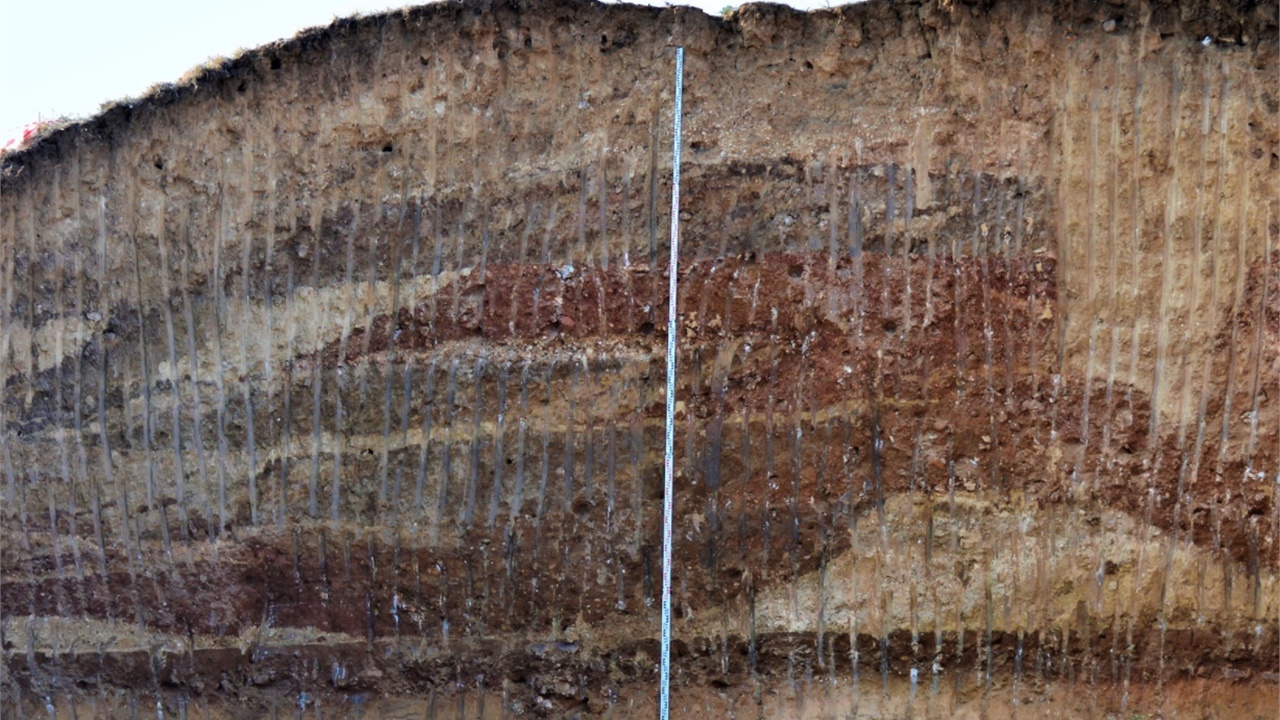 Τα μυστικά του 