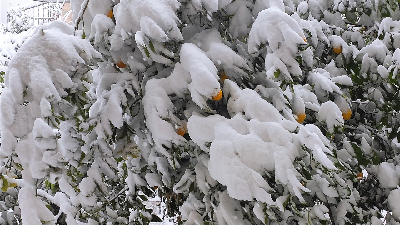 Στους μείον 19,4 βαθμούς Κελσίου η ελάχιστη θερμοκρασία από τη...