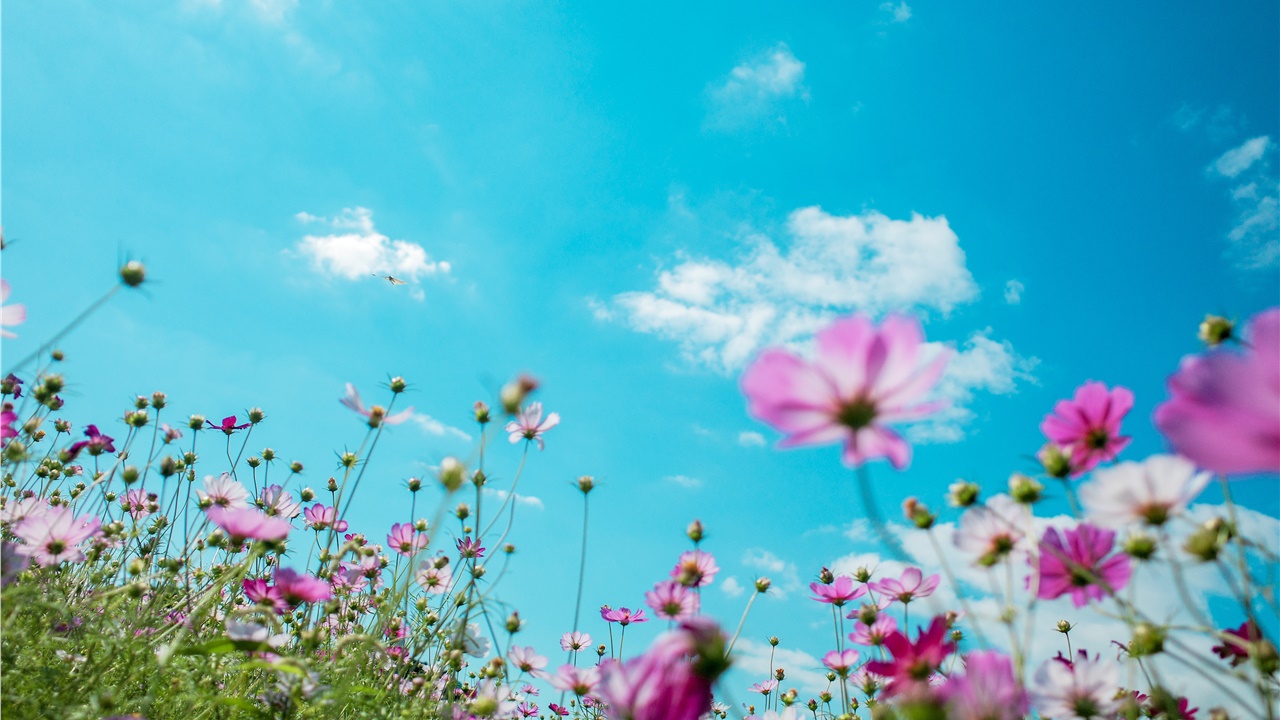 Ξεκινά αύριο, Σάββατο, η άνοιξη με την εαρινή ισημερία