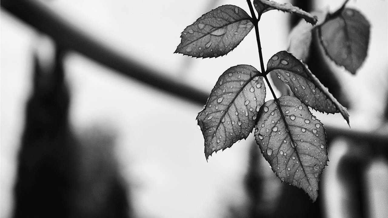 Συνεχίζεται σήμερα η κακοκαιρία σε διάφορες περιοχές της χώρας