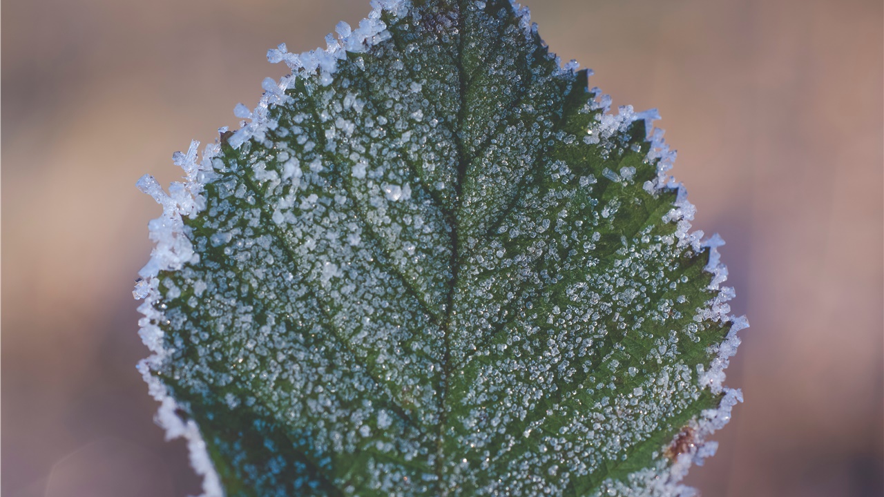 Ισχυρός παγετός στα βόρεια και κεντρικά, στους -9,4 στη Βλάστη...