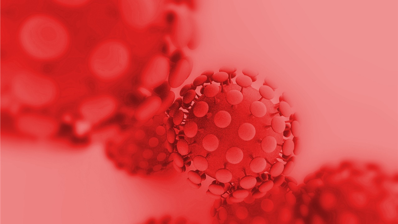 ΠΟΫ: Ο κορονοϊός είναι πολύ πιθανό να πέρασε από νυχτερίδες στον...