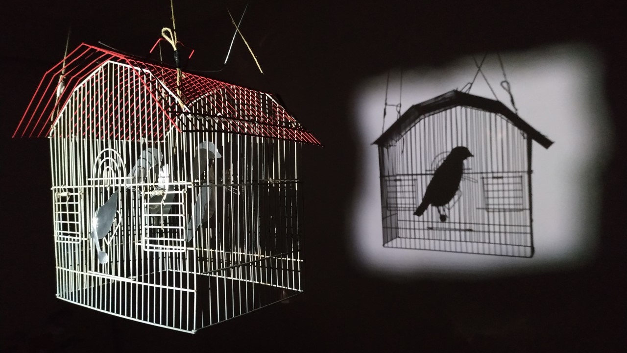 Το λοκντάουν μέσα από την τέχνη της σκιάς