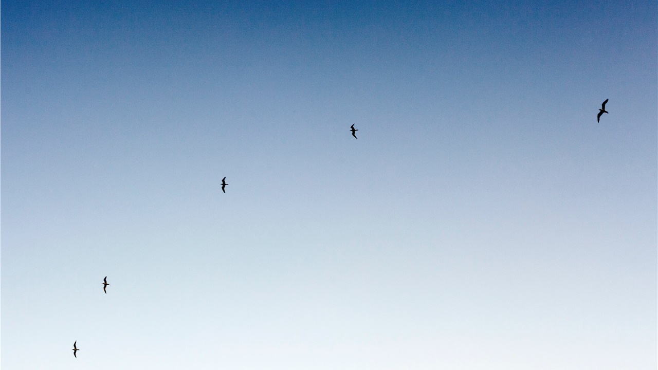 Σταδιακή άνοδο θα σημειώσει η θερμοκρασία τη Μεγάλη Εβδομάδα