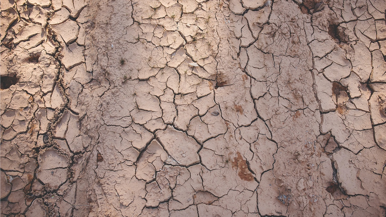 Ο ΟΗΕ προειδοποιεί ότι η ξηρασία μπορεί να είναι «η επόμενη πανδημία»