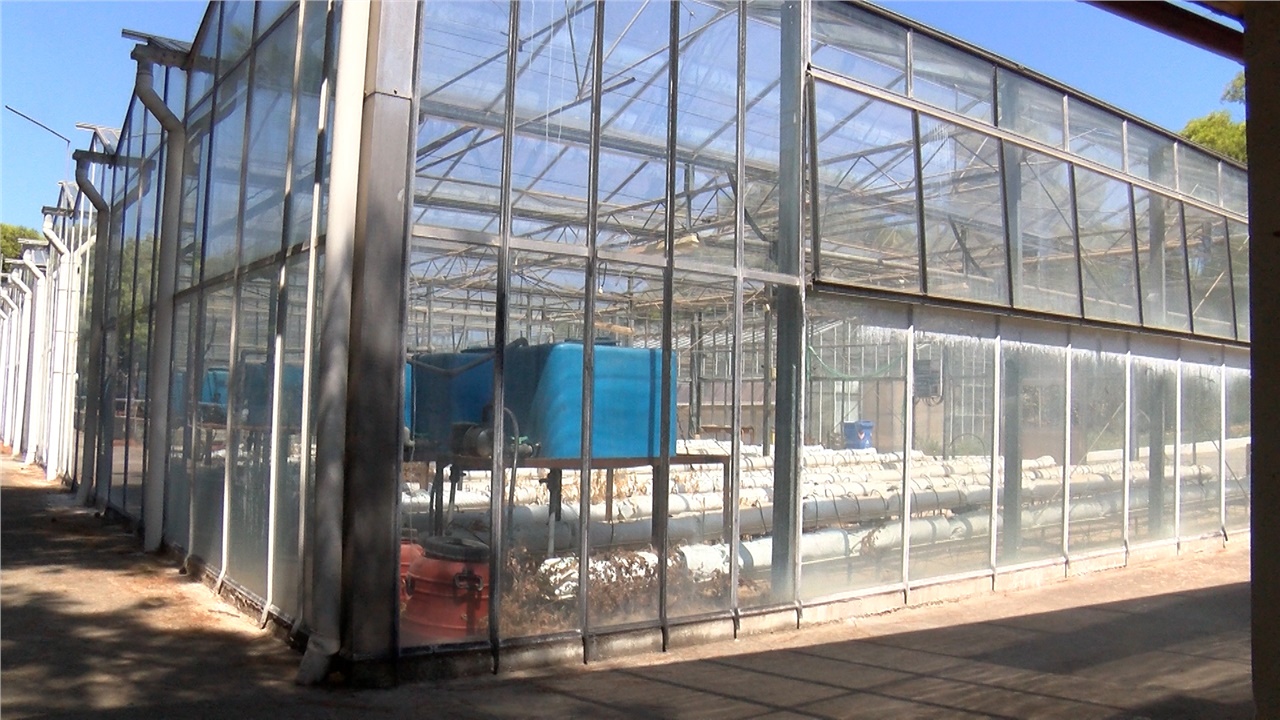 Στα Χανιά η πρώτη μεσογειακή πράσινη βιοκλιματική περιφερειακή...