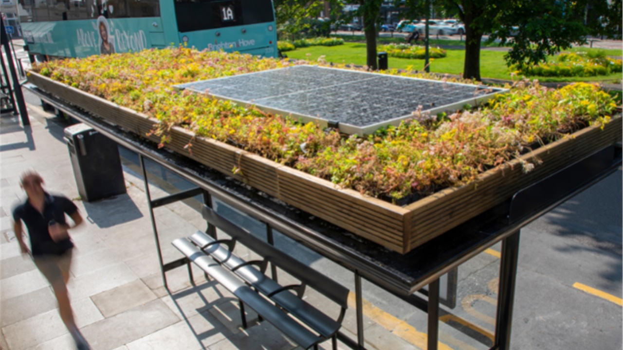 Αγγλία: Περιμένοντας το λεωφορείο παρέα με... μέλισσες!