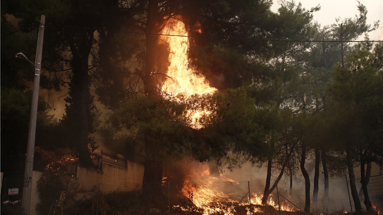 Ποινική δίωξη σε βάρος του 64χρονου μελισσοκόμου για την πυρκαγιά...