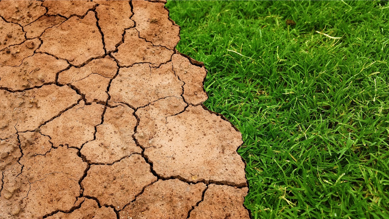 'Time is running out to act on the climate emergency', Mayor...