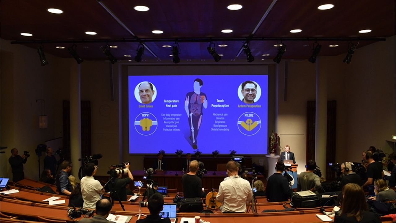 Νόμπελ Ιατρικής: Οι Αμερικανοί Ντέιβιντ Τζούλιους και Αρντέμ...