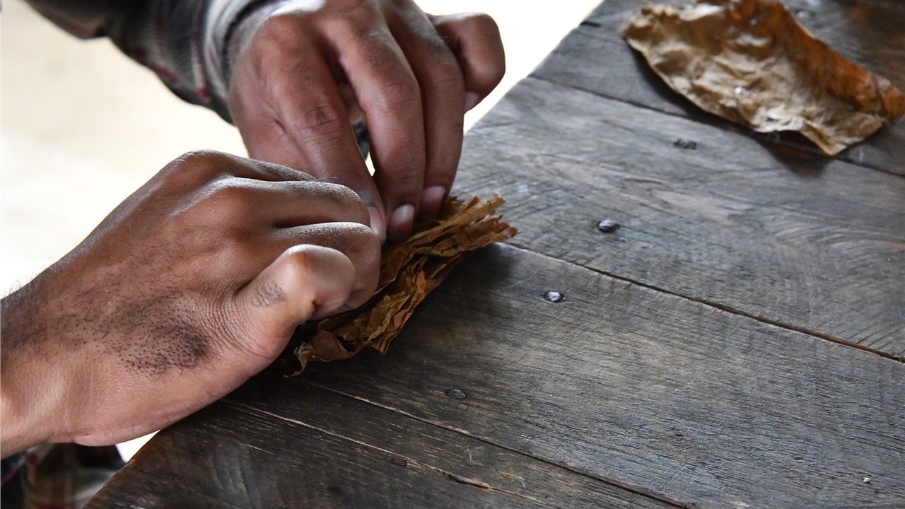 Ανακαλύφθηκε η αρχαιότερη στον κόσμο χρήση καπνού πριν 12.300...
