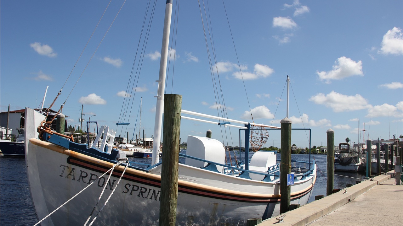 ΗΠΑ: Θεοφάνεια στο Τάρπον Σπρινγκς της Φλόριντα