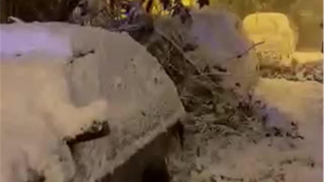 Πυκνό χιόνι στην Αθήνα, πτώση δέντρων σε πολλά σημεία 