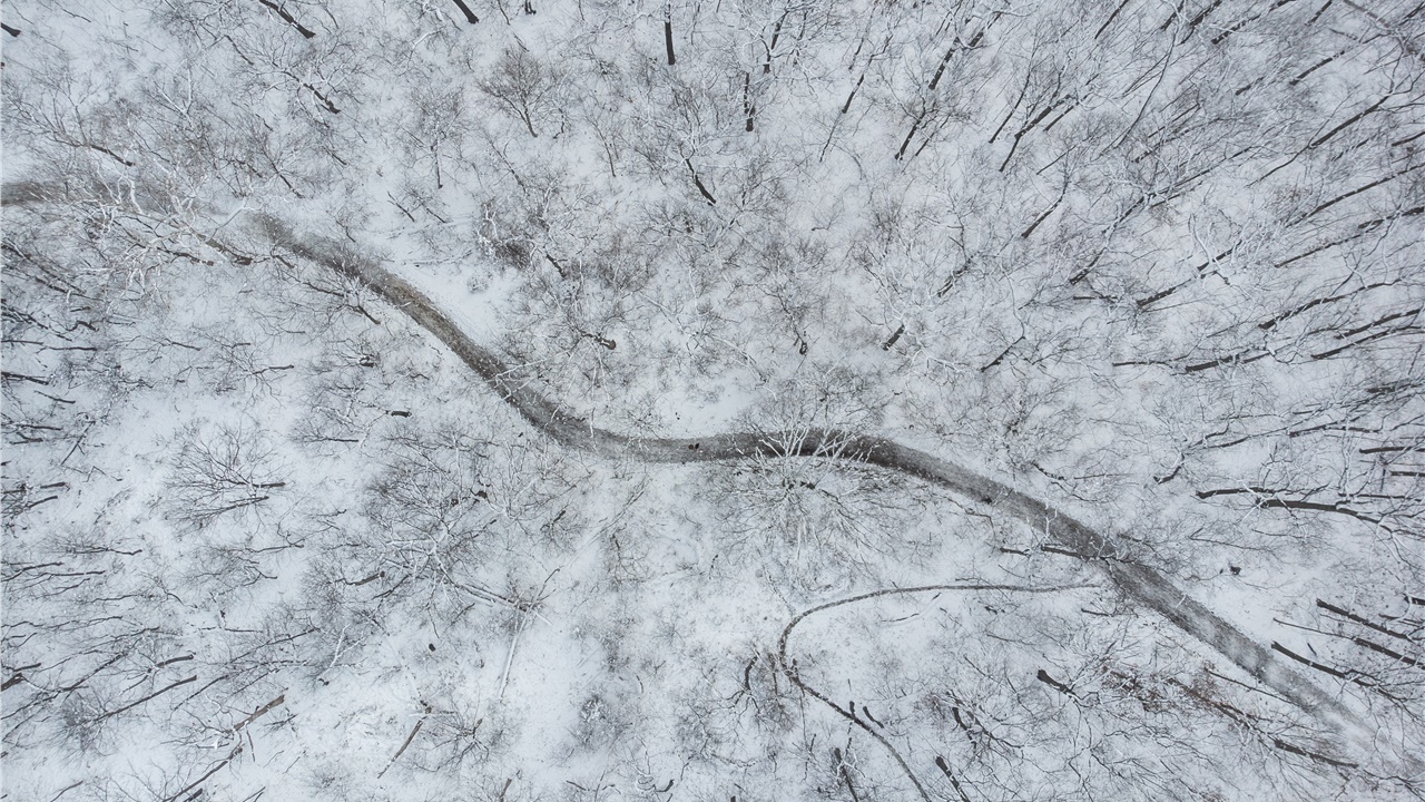 Τι είναι οι χιονοκαταιγίδες, πώς σχηματίζονται και γιατί συνοδεύονται...