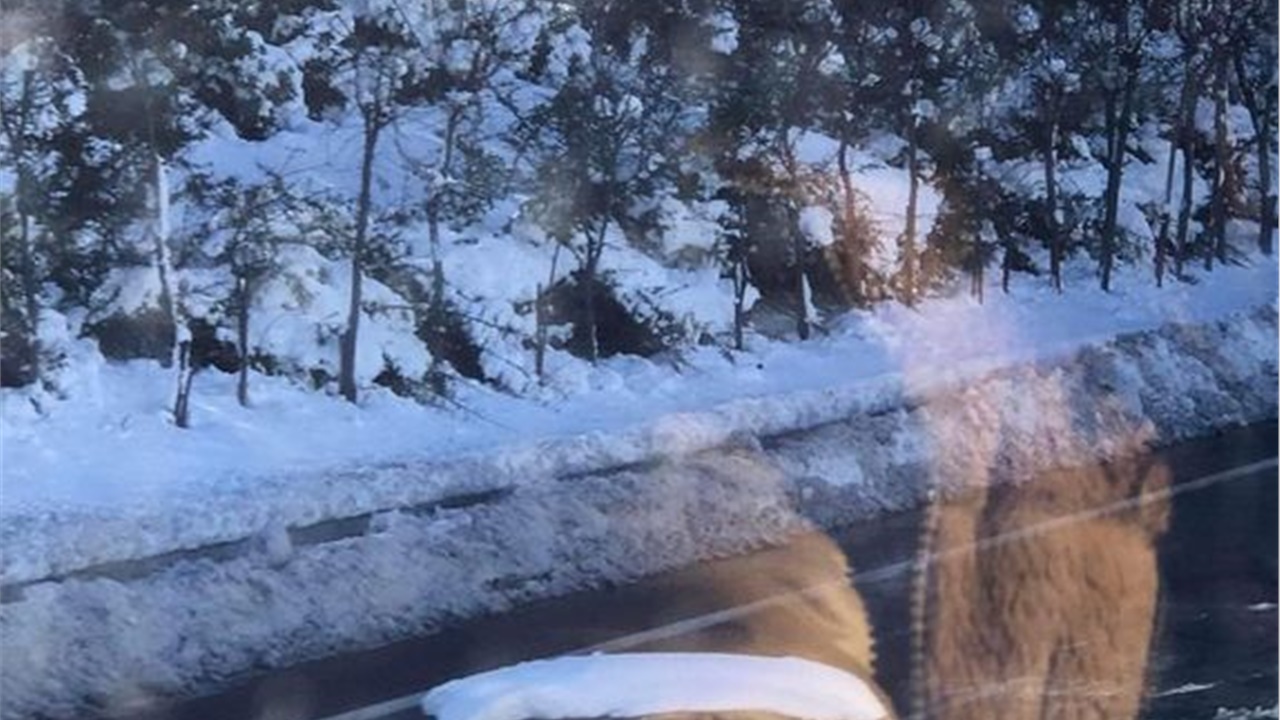 Ακόμα έχει αυτοκίνητα και παραμένει κλειστή η Αττική Οδός! 