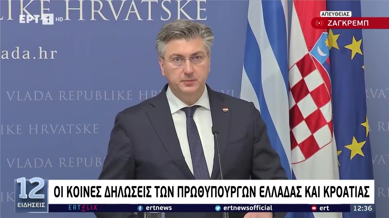 Έχασε τον ειρμό της η διερμηνέας κατά τη διάρκεια των δηλώσεων...