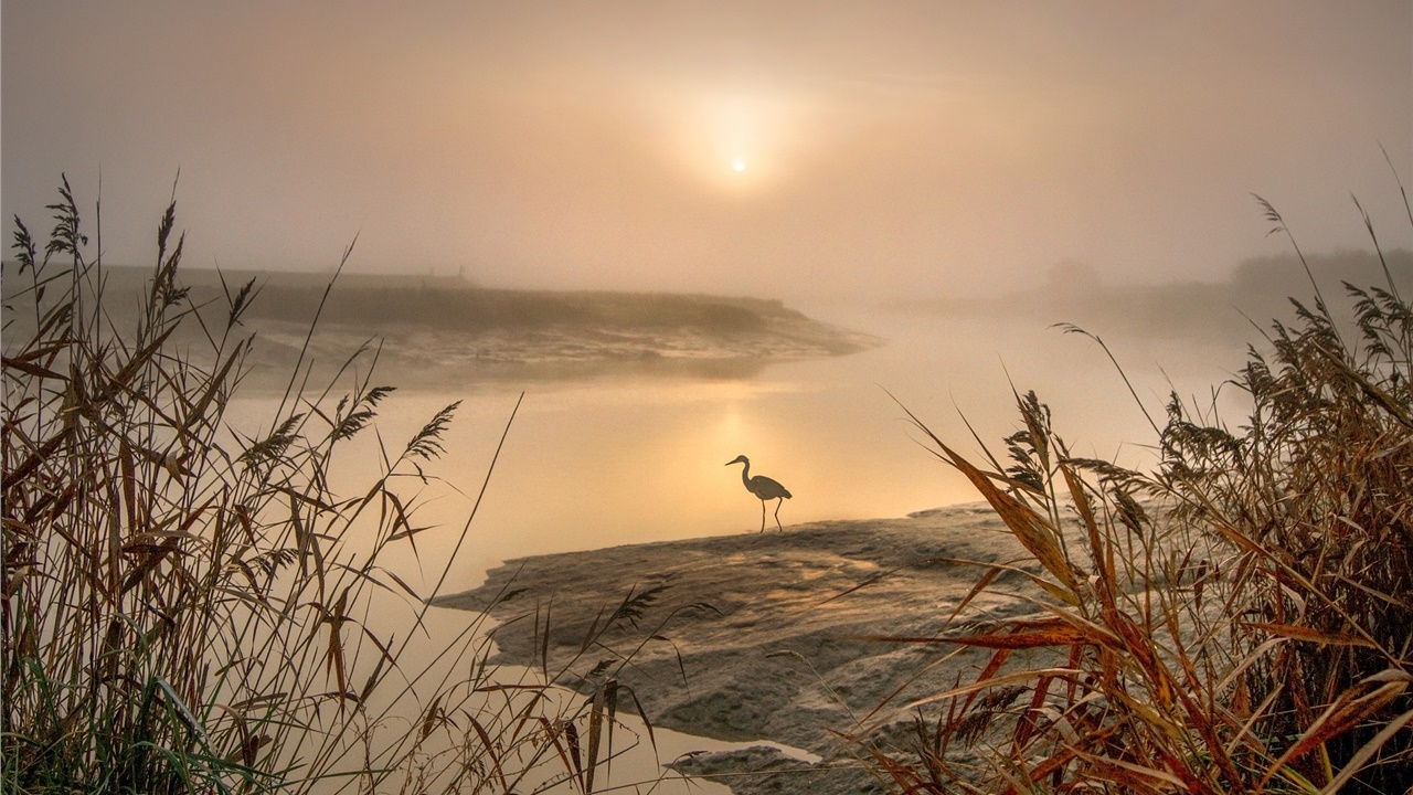Η ρύπανση από τα φάρμακα απειλεί πολλά ποτάμια της Γης, αποκαλύπτει...