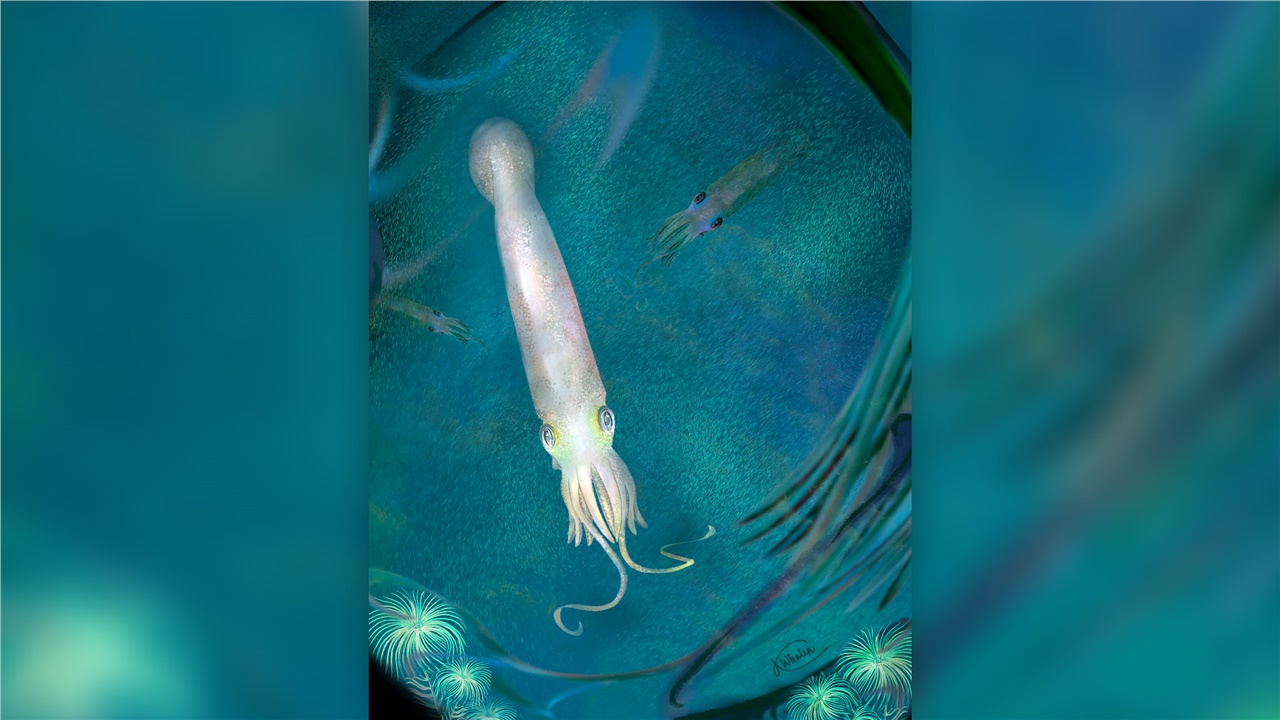 Πρόγονος του χταποδιού με δέκα πλοκάμια που ζούσε πριν 328 εκατομμύρια...