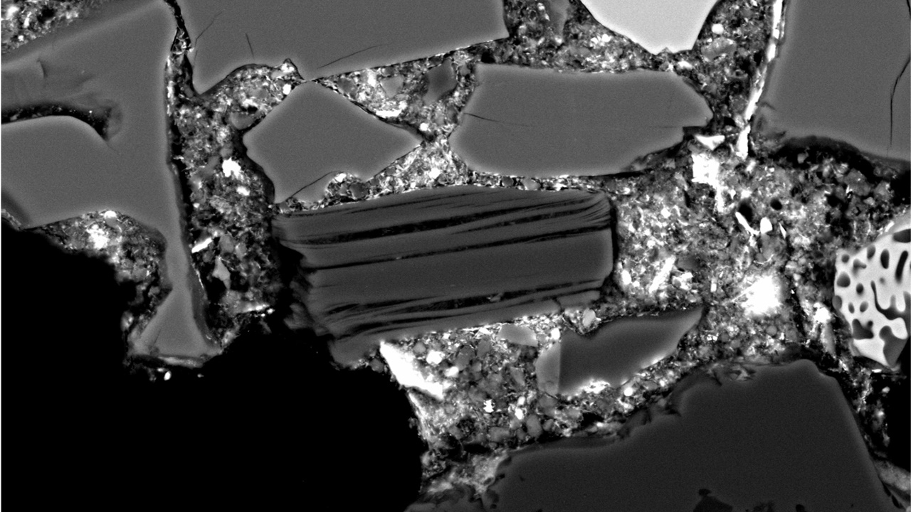 Έλληνας επιστήμονας ηγήθηκε διεθνούς ομάδας που έκανε μία μοναδική...