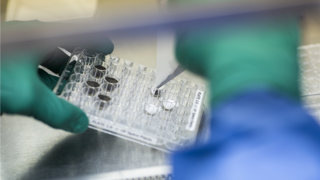 Επιστήμονες μεγάλωσαν στη γη τα πρώτα φυτά σε χώμα από τη Σελήνη