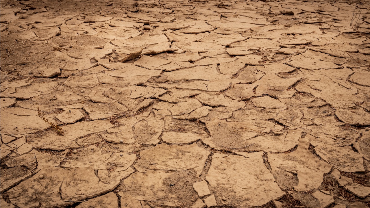 ΗΠΑ: Η ξηρασία αποκάλυψε ίχνη δεινοσαύρων στην κοίτη ποταμού...