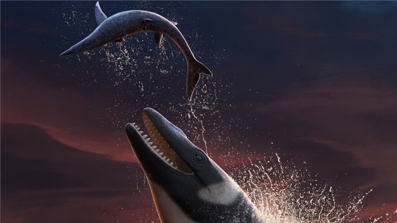 Ανακαλύφθηκε το απολίθωμα του Θαλασσοτιτάνα, ενός γιγάντιου θαλάσσιου...