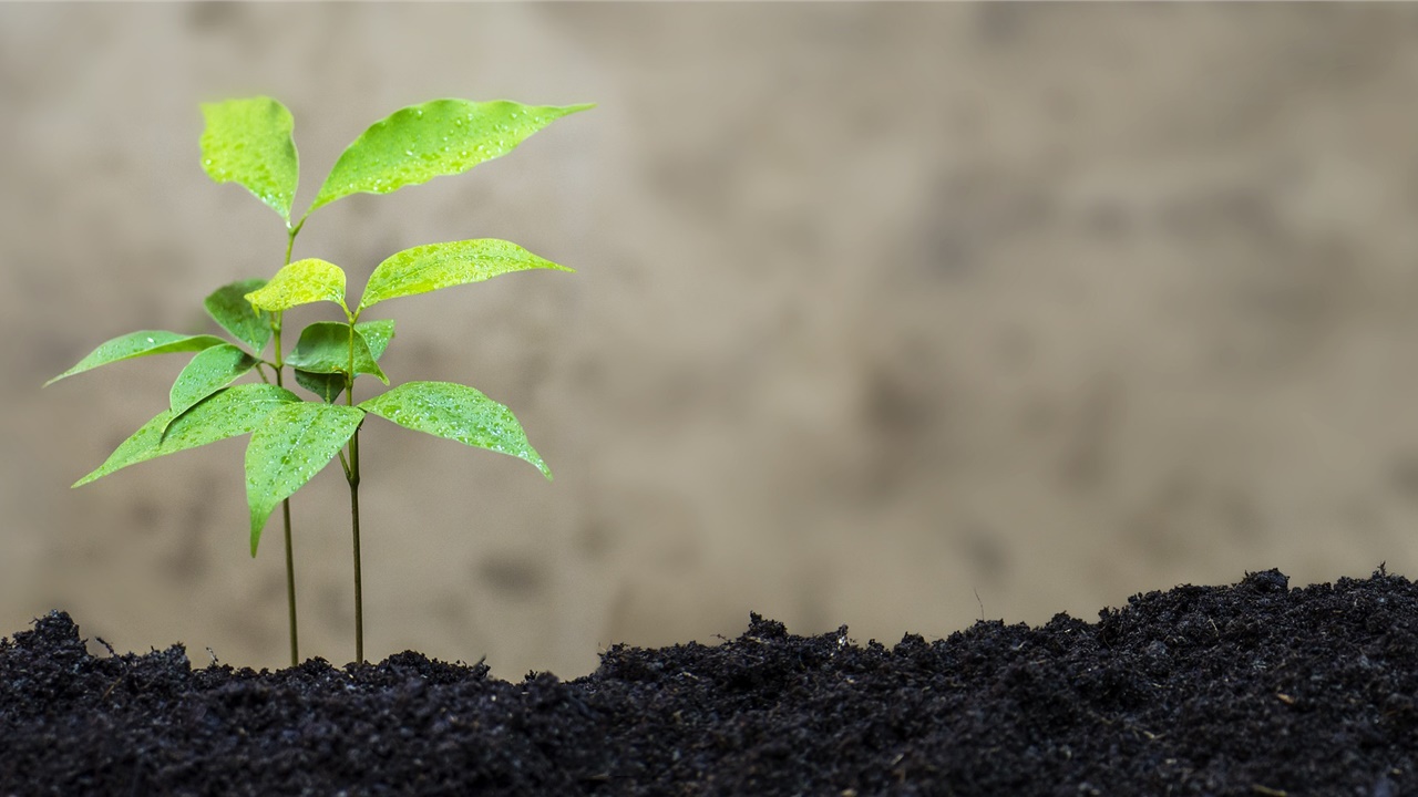 PwC Net Zero Economy Index: Ανάγκη για υπερεντατικοποίηση του...