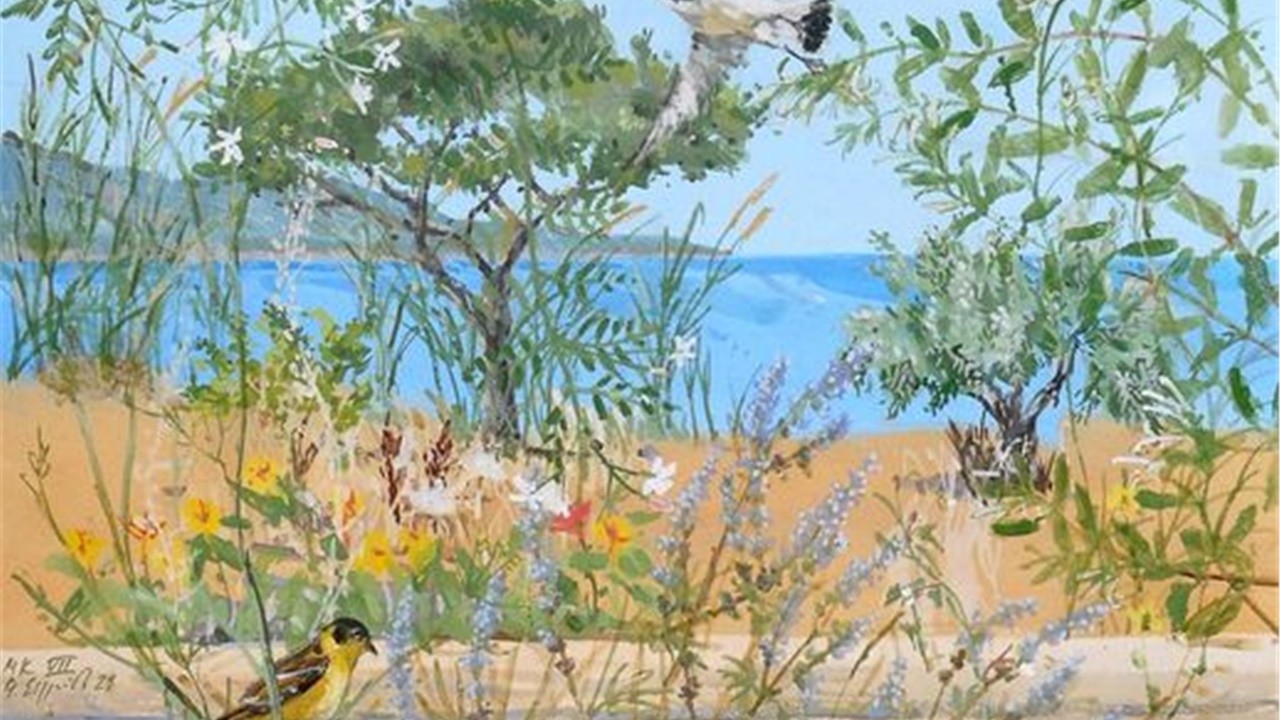 Οι μυστικοί κήποι της Φωτεινής  Στεφανίδη  Με τον τίτλο «Κήποι...