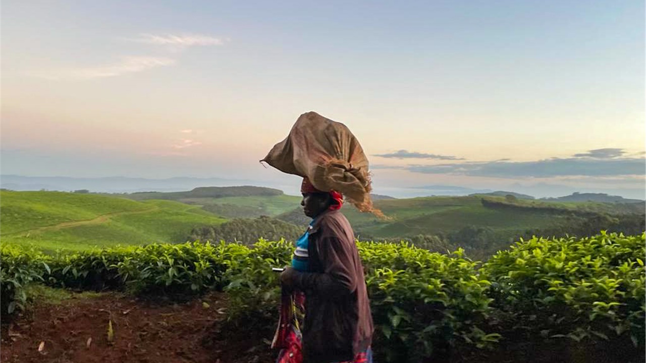 Exploring Rwanda