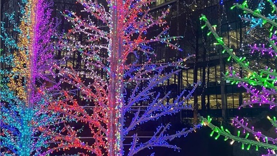 Canary Wharf Winter Lights.  