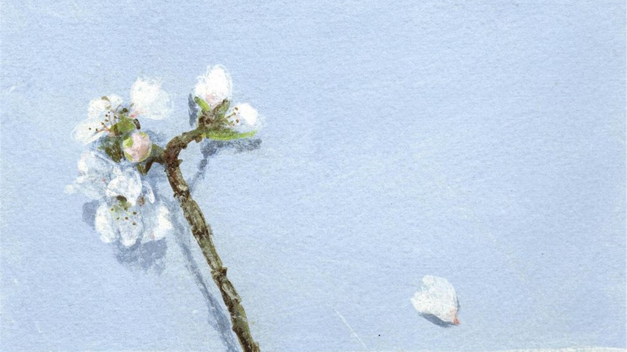 Φωτεινή Στεφανίδη: Ένα ανθάκι για κείνους που αγκάλιασαν τον...