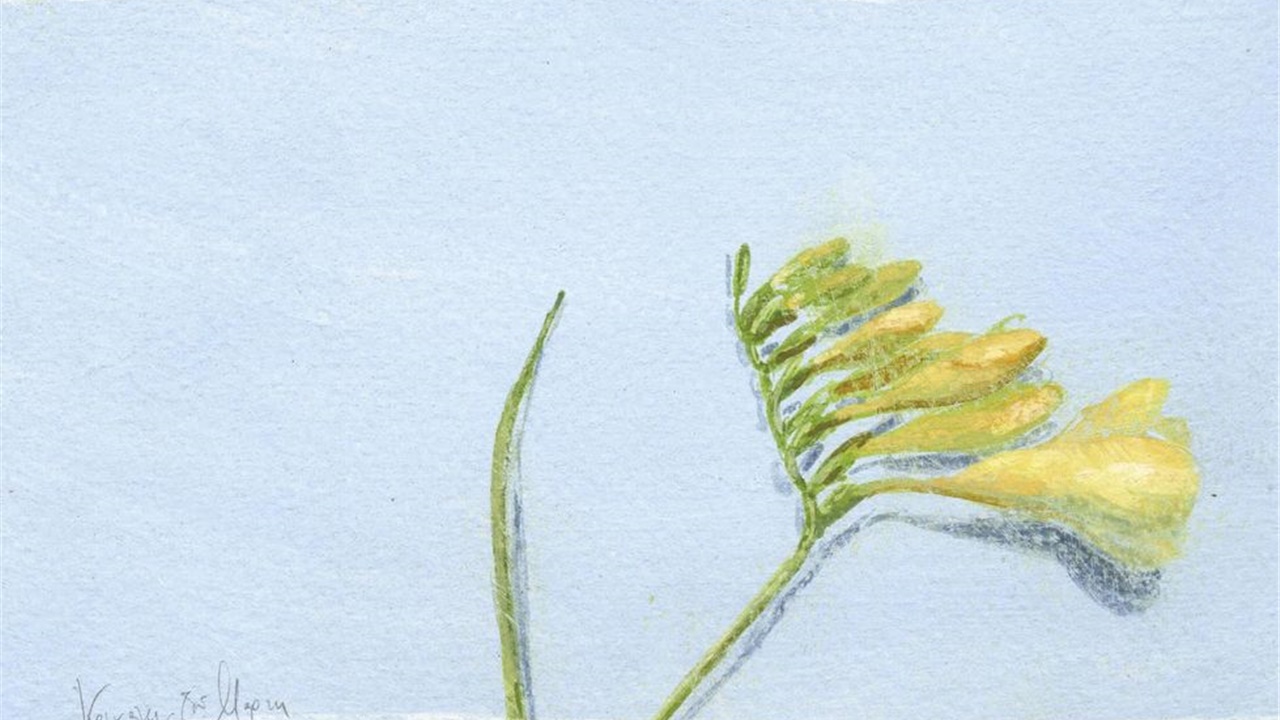 Φωτεινή Στεφανίδη: «Μάρτη  μήνα  γύρισε λάθος το κλειδί του τρένου...