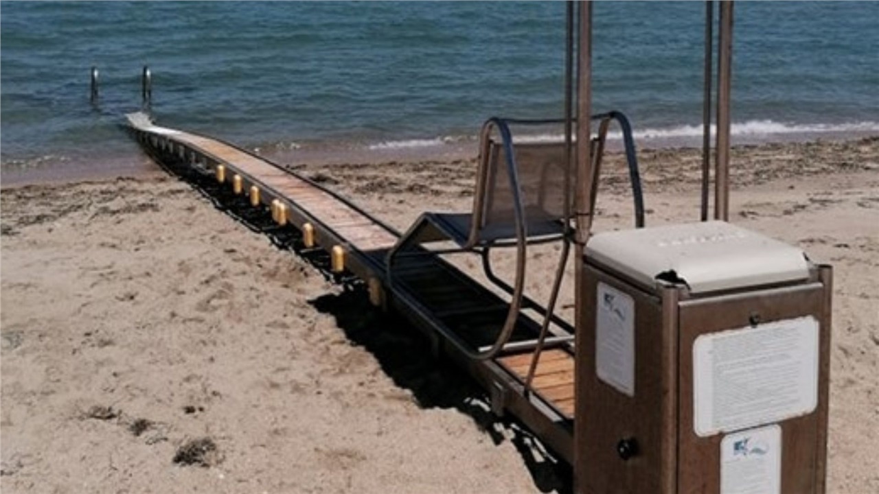 «Κι αν χιονίζει και αν βρέχει τ’ αγριολούλουδο αντέχει»! Το τραγούδι...