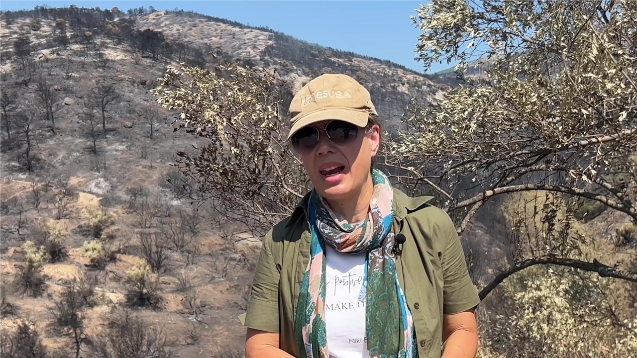 Η Νίκη Ευελπίδου, καθηγήτρια Γεωλογίας στο ΕΚΠΑ, μιλά για τις...