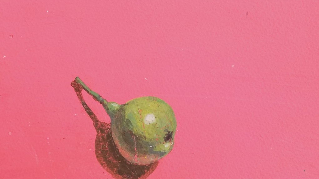 Φωτεινή Στεφανίδη: 