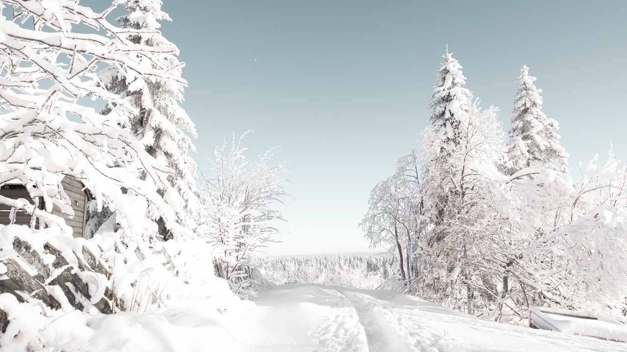 Πρωτοφανές ψύχος στη Νορβηγία: Στους -31,1 βαθμούς η θερμοκρασία