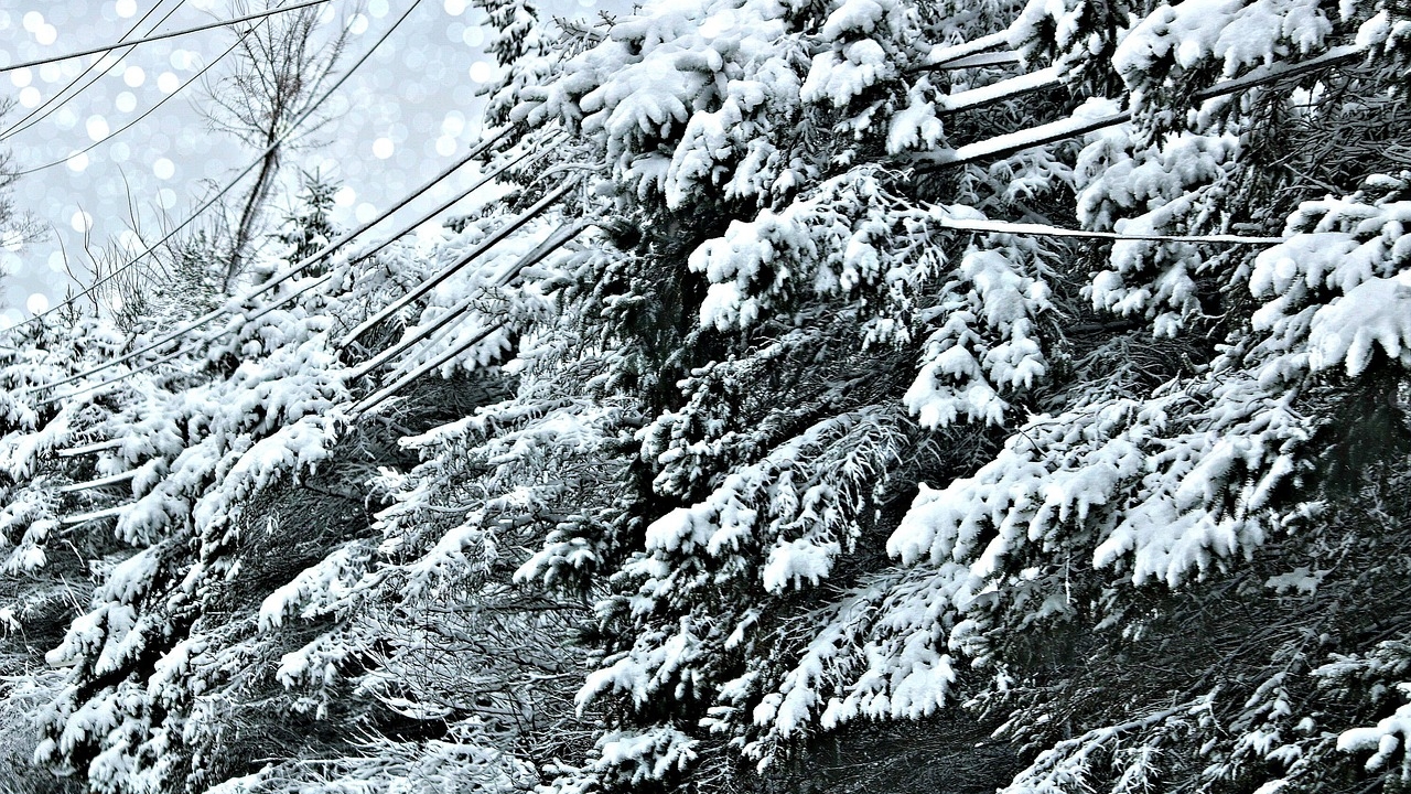 ΕΜΥ: Επιδείνωση του καιρού με χιονοπτώσεις και θυελλώδεις ανέμους
