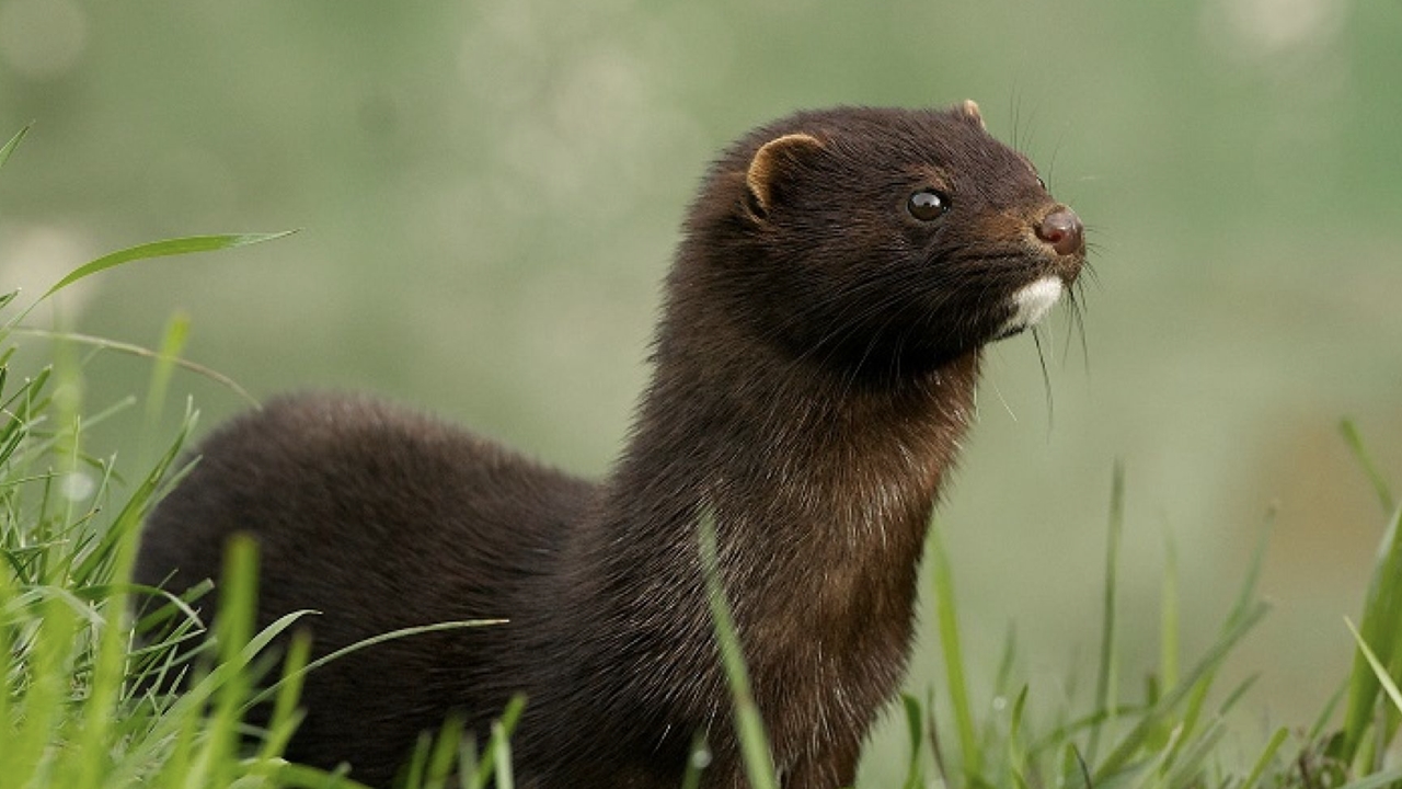 ΑΠΘ - Παρουσίαση αποτελεσμάτων του ερευνητικού έργου LIFE ATIAS