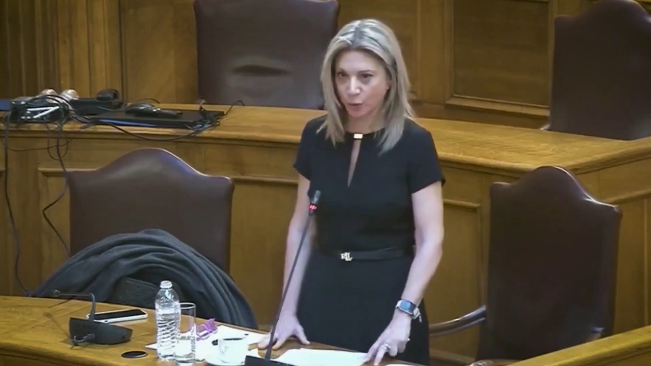 Η ομιλία της Μαρίας Καρυστιανού στην επιτροπή της Βουλής...