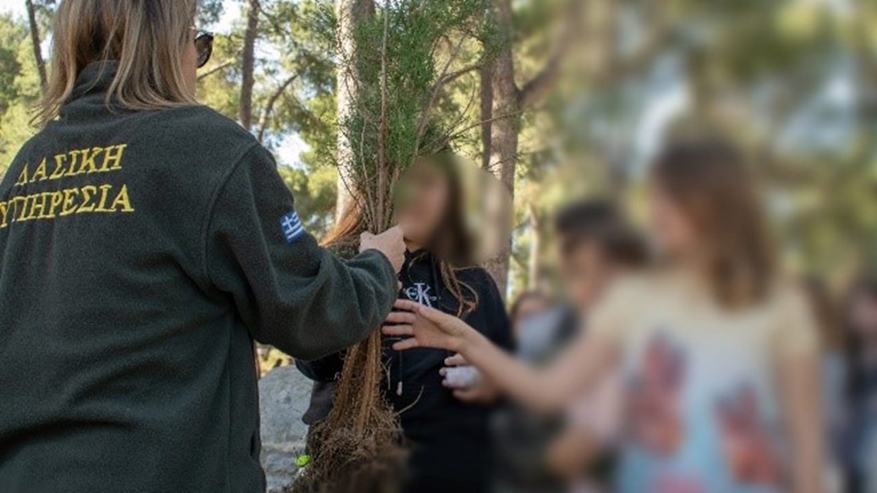 Δεντροφύτευση στην Κατασκήνωση του ΑΠΘ στο Ποσείδι Χαλκιδικής...